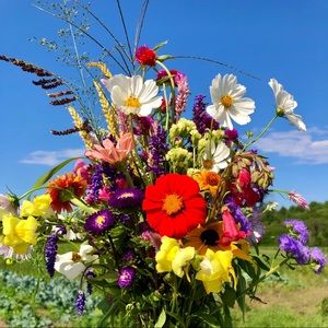 Meet your Posher, Cecilia